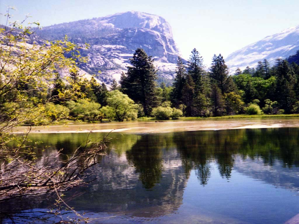 naturalscenery2.jpg